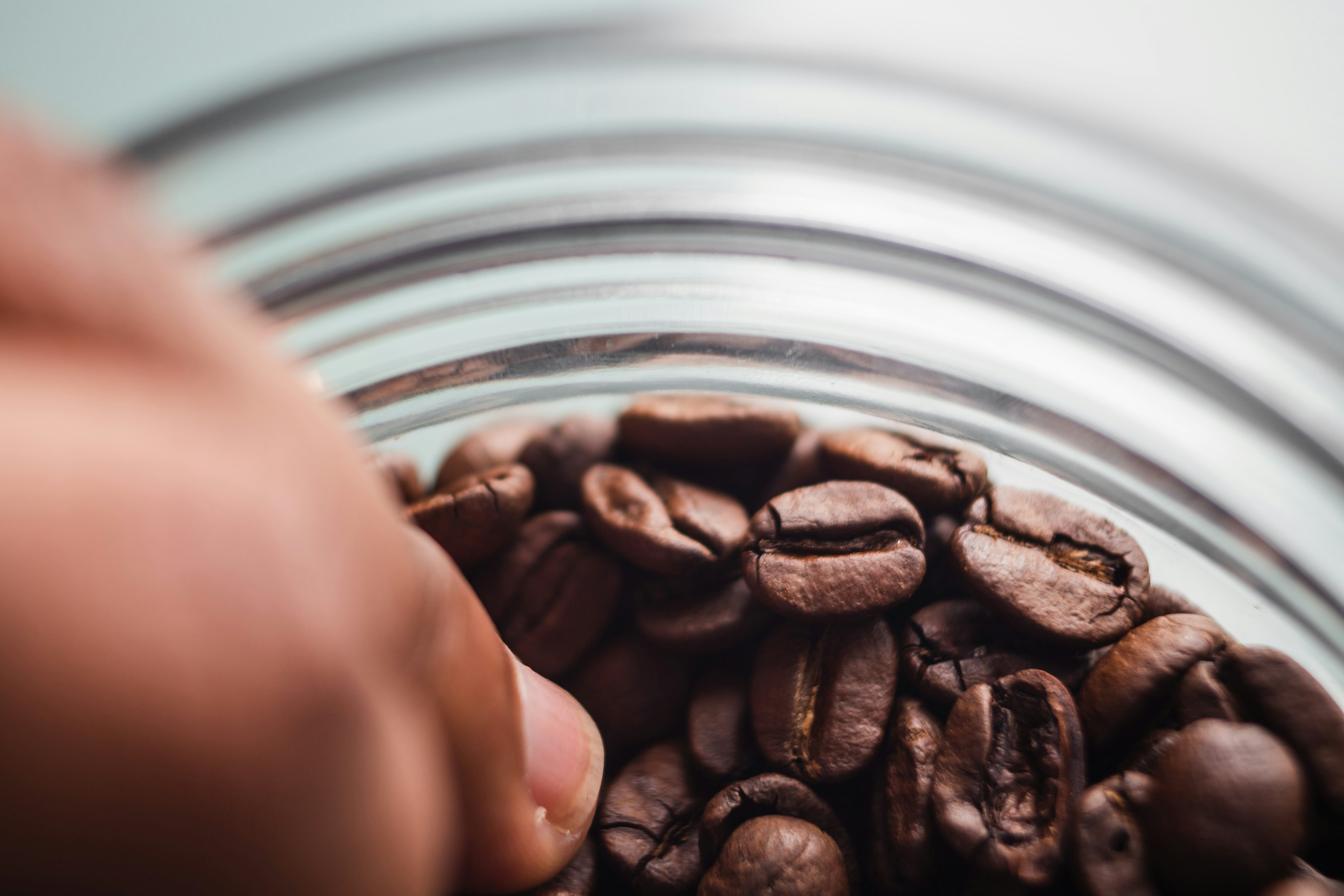 Photo by louishansel