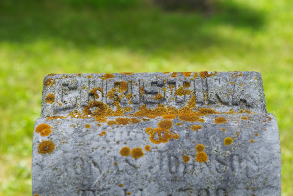 brown concrete wall with yellow paint