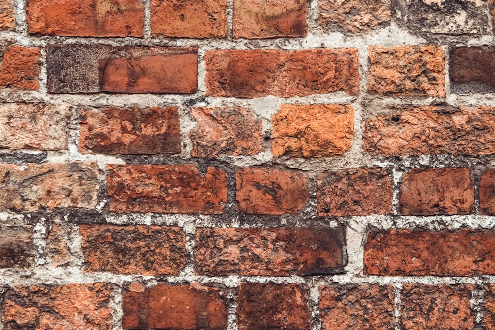 brown and white brick wall