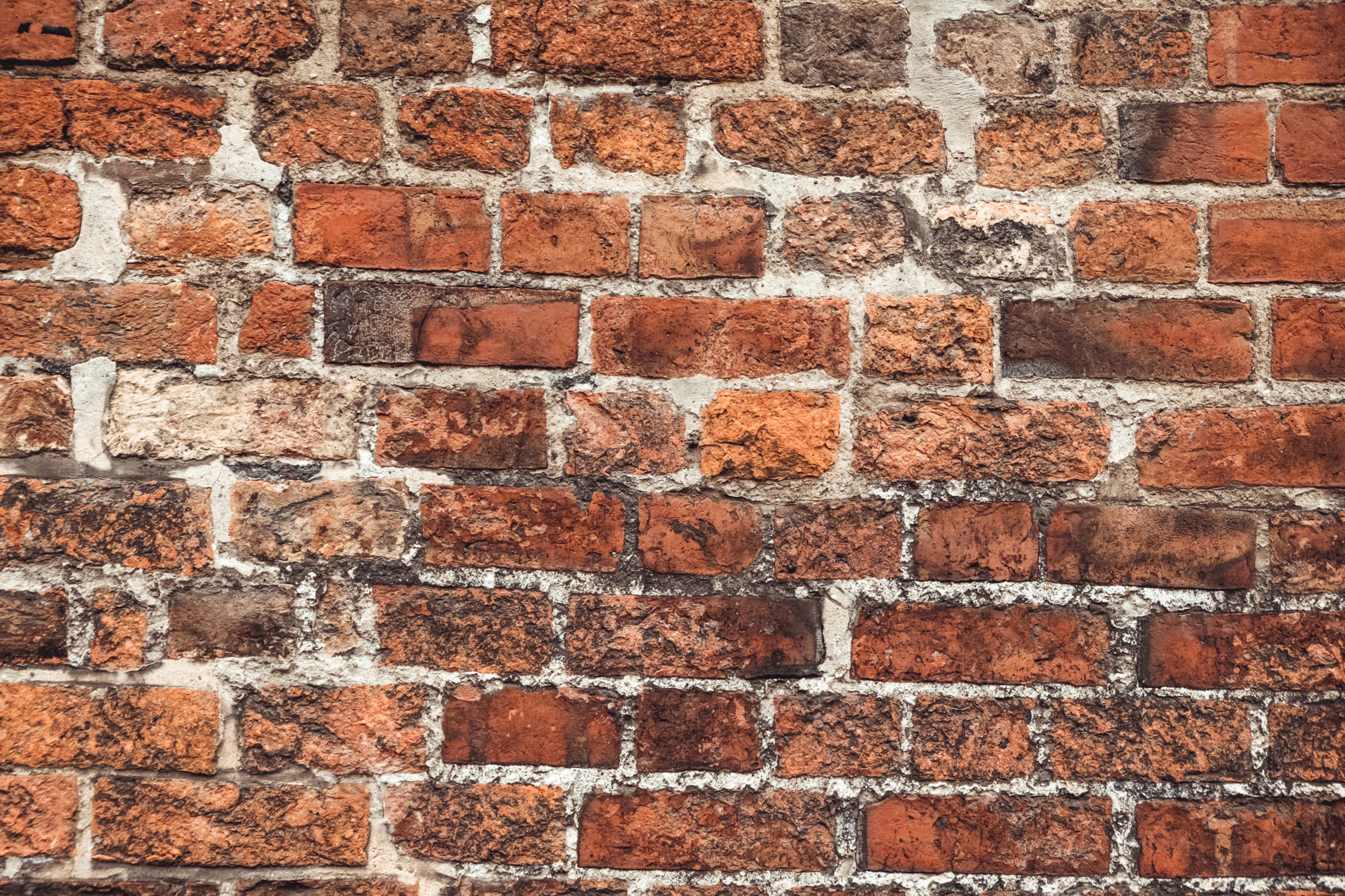 Photo by moritz_photography