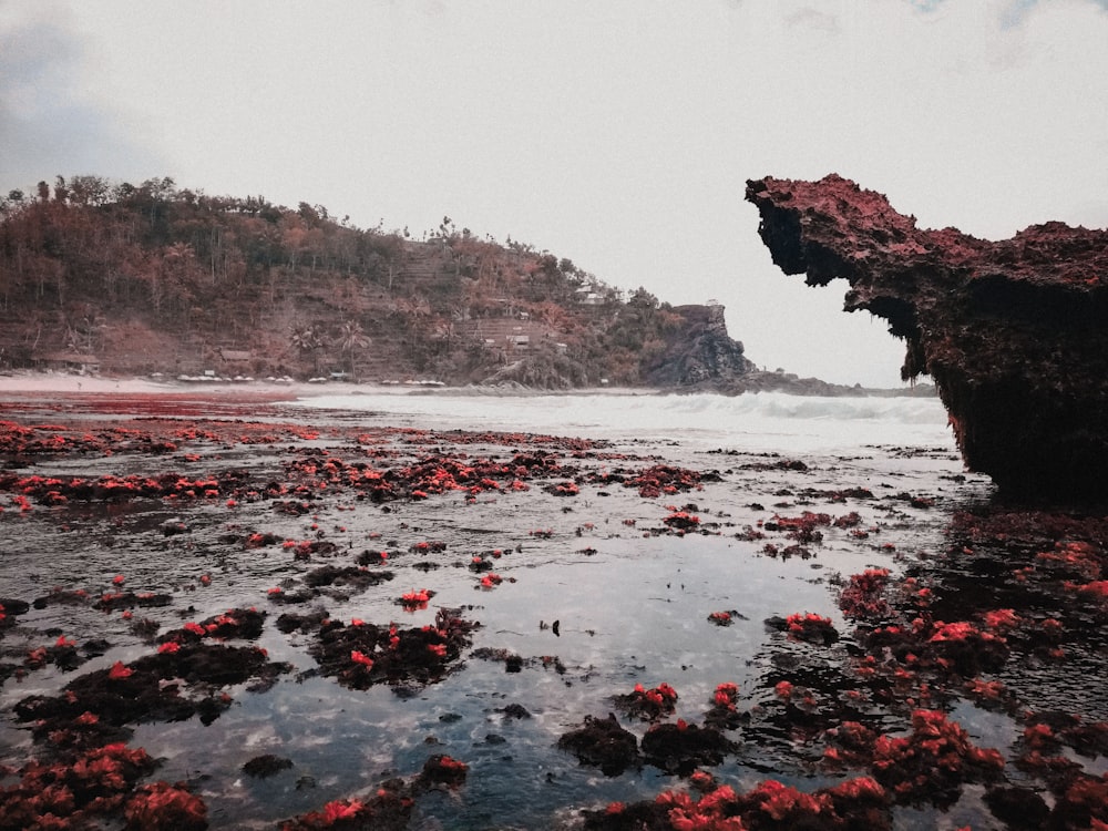 brown rock formation on body of water during daytime