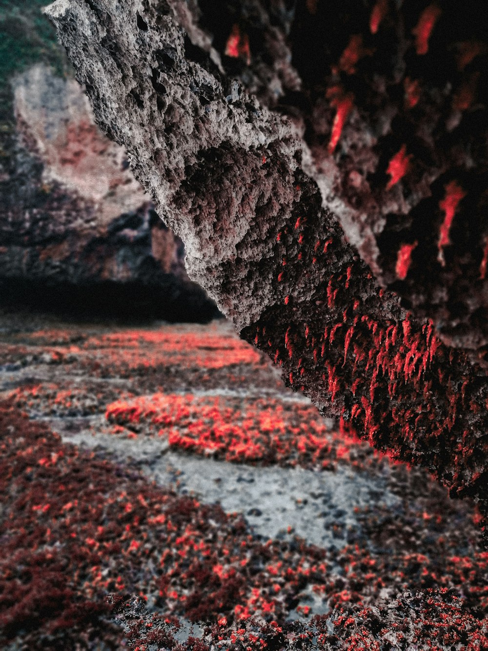 red and black concrete road