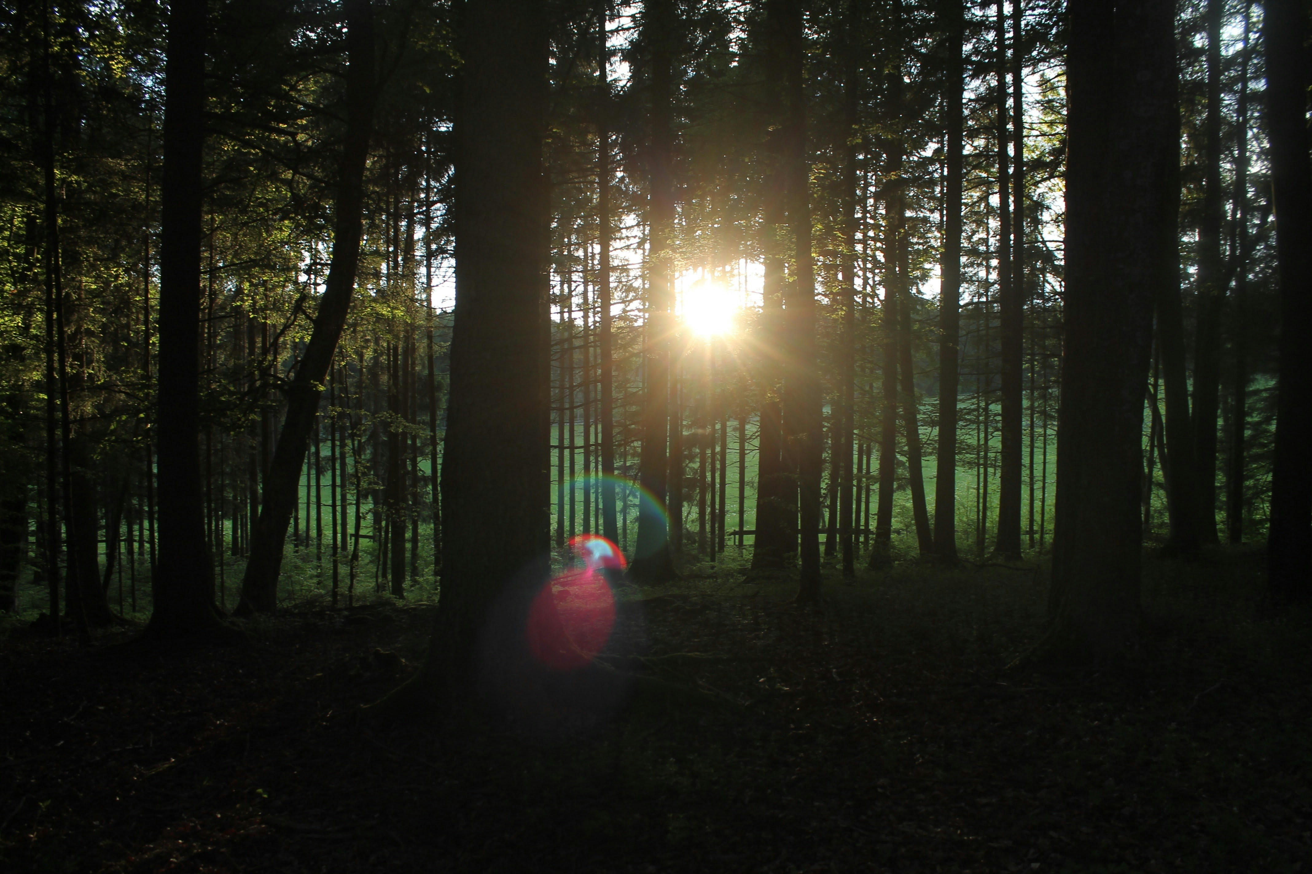 Cindicator header image