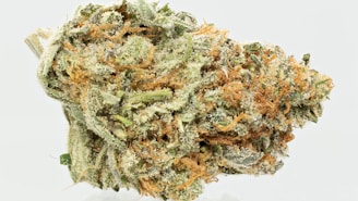 A detailed close-up of a cannabis bud showcasing its intricate texture. The bud is covered in a generous coating of white crystalline trichomes, interspersed with orange pistils and shades of green leaves.