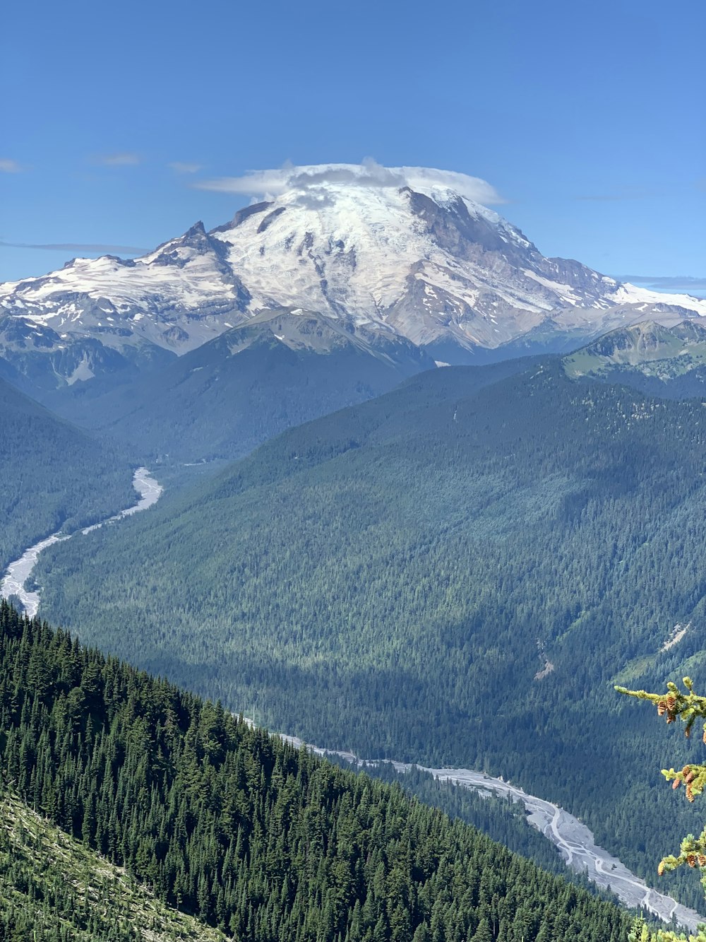 green trees near snow covered mountain during daytime