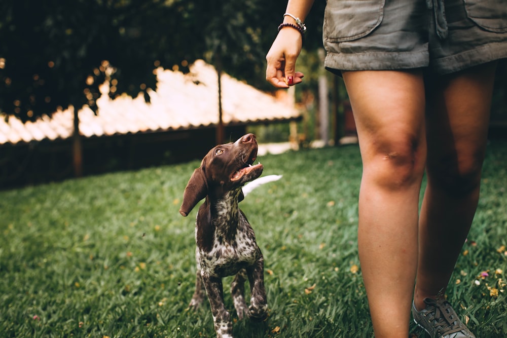 Femme en débardeur noir tenant un chien à poil court marron et blanc