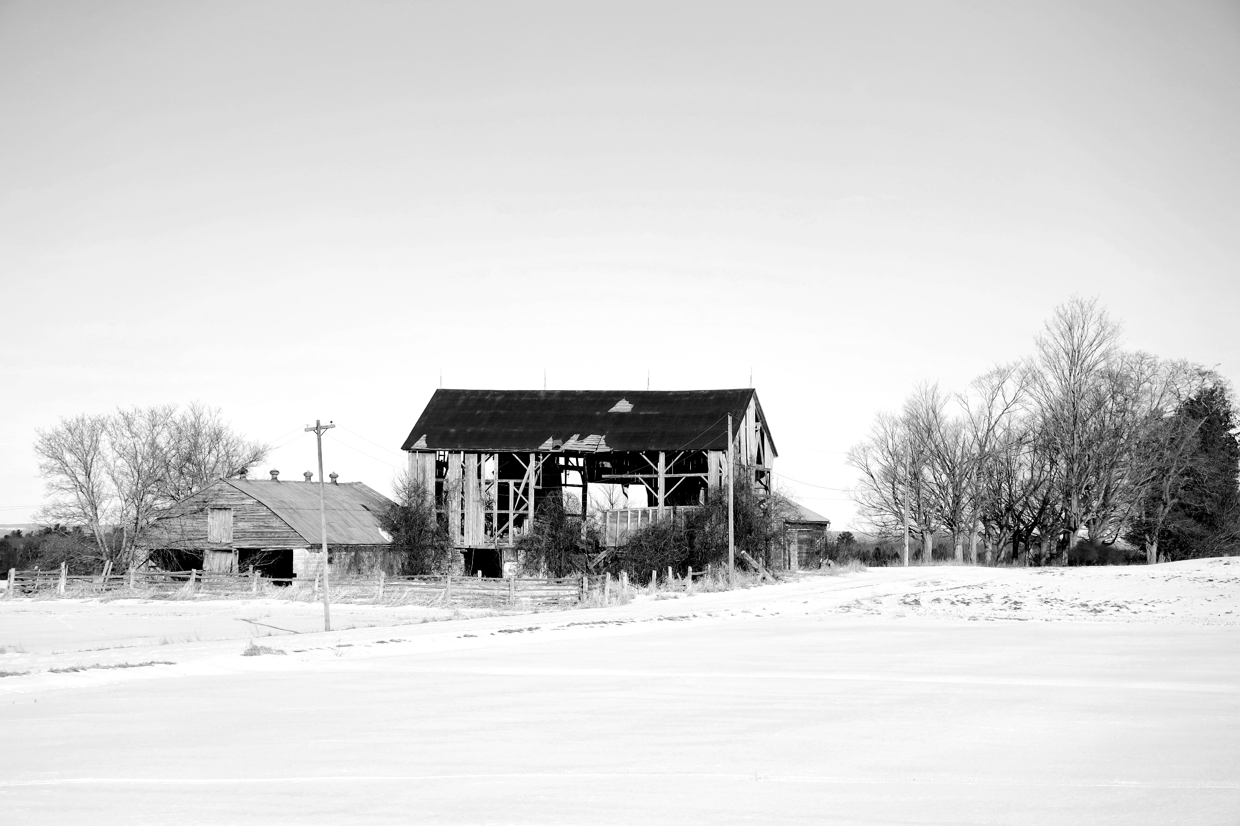 Photo by richardworks