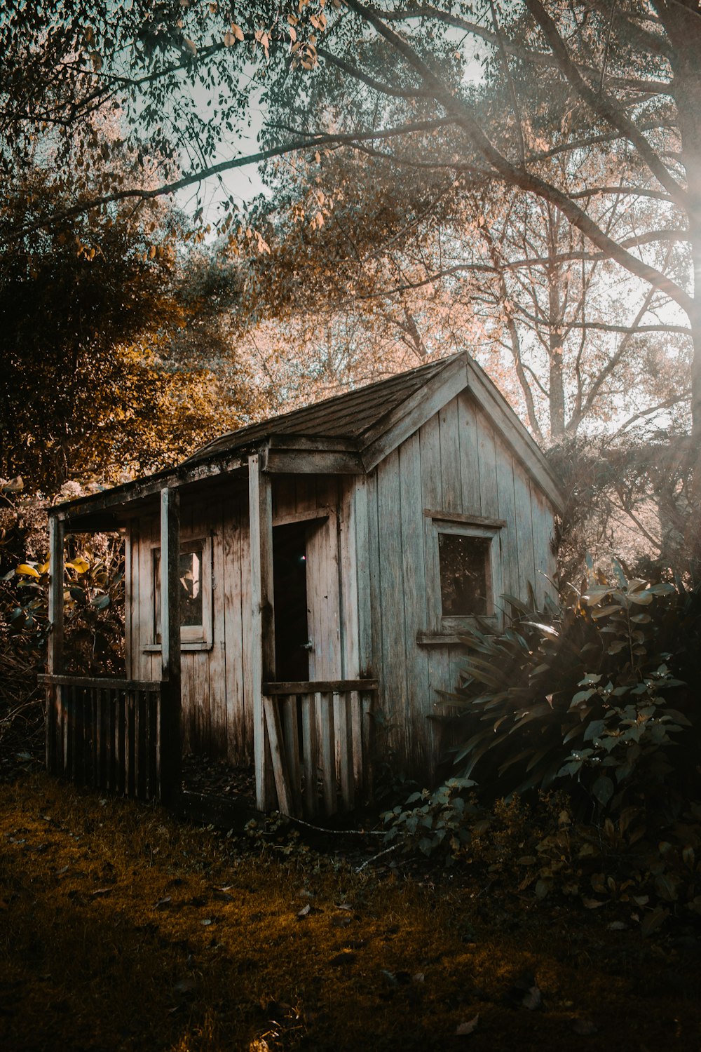 brown wooden house surrounded by trees