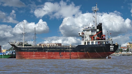 A large cargo ship is docked in a harbor, featuring a black and red hull with the name 'ROYAL 06' painted on the side. The ship is equipped with cranes and masts, and there are buildings visible in the background across a cloudy blue sky. The water in the foreground appears slightly murky.