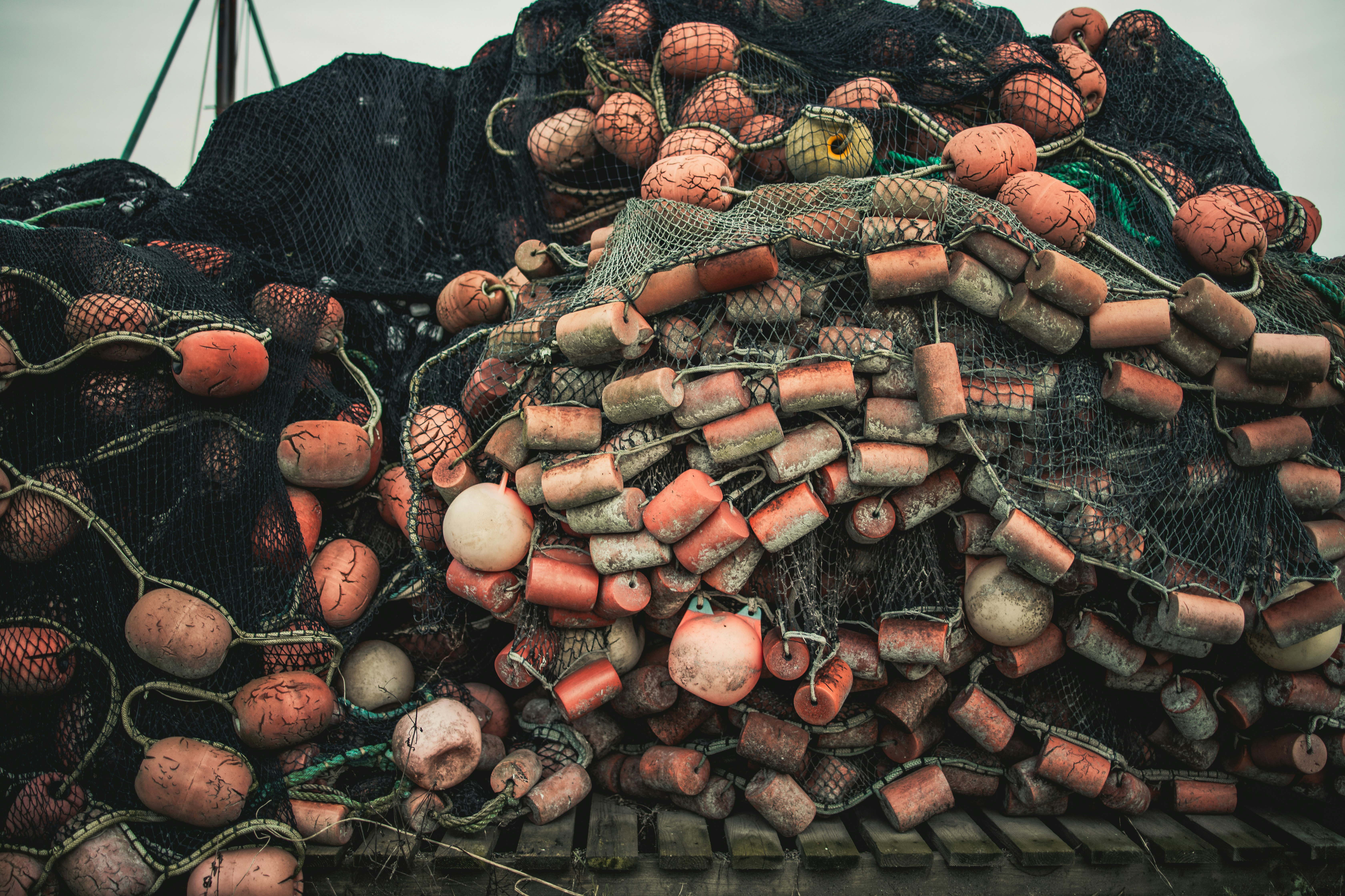 Photo by danielbarbulak