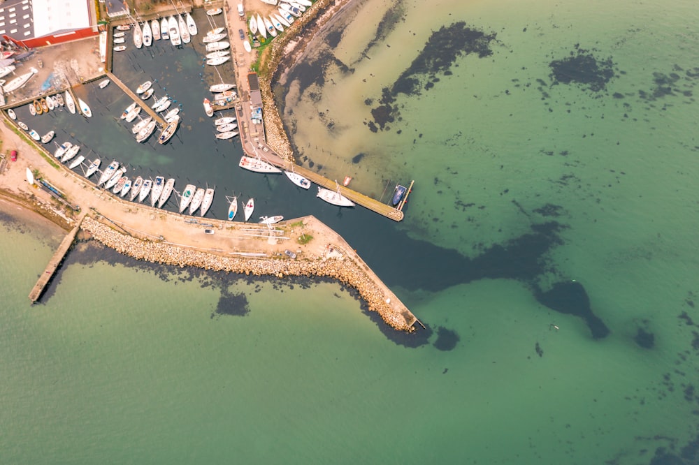 aerial view of green lake