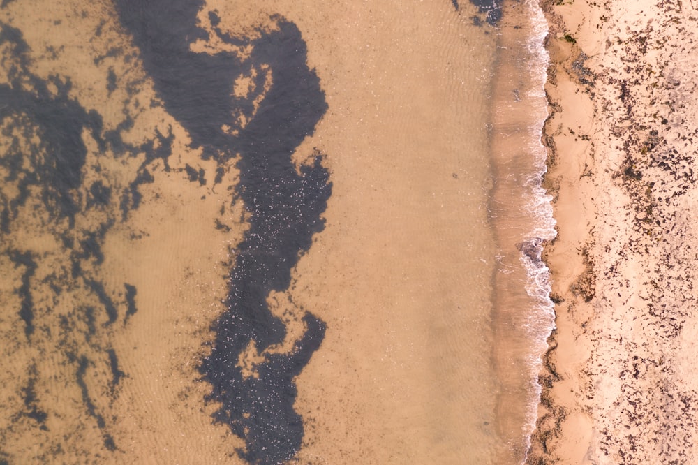 arena marrón cerca del cuerpo de agua durante el día