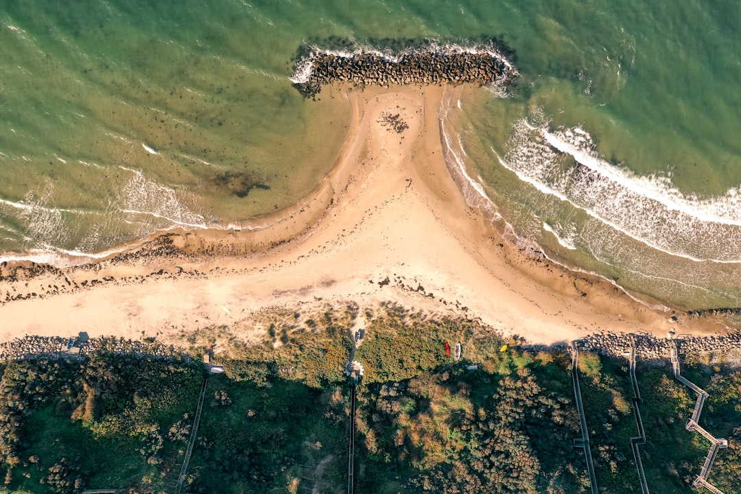 aerial view of green trees and brown sand