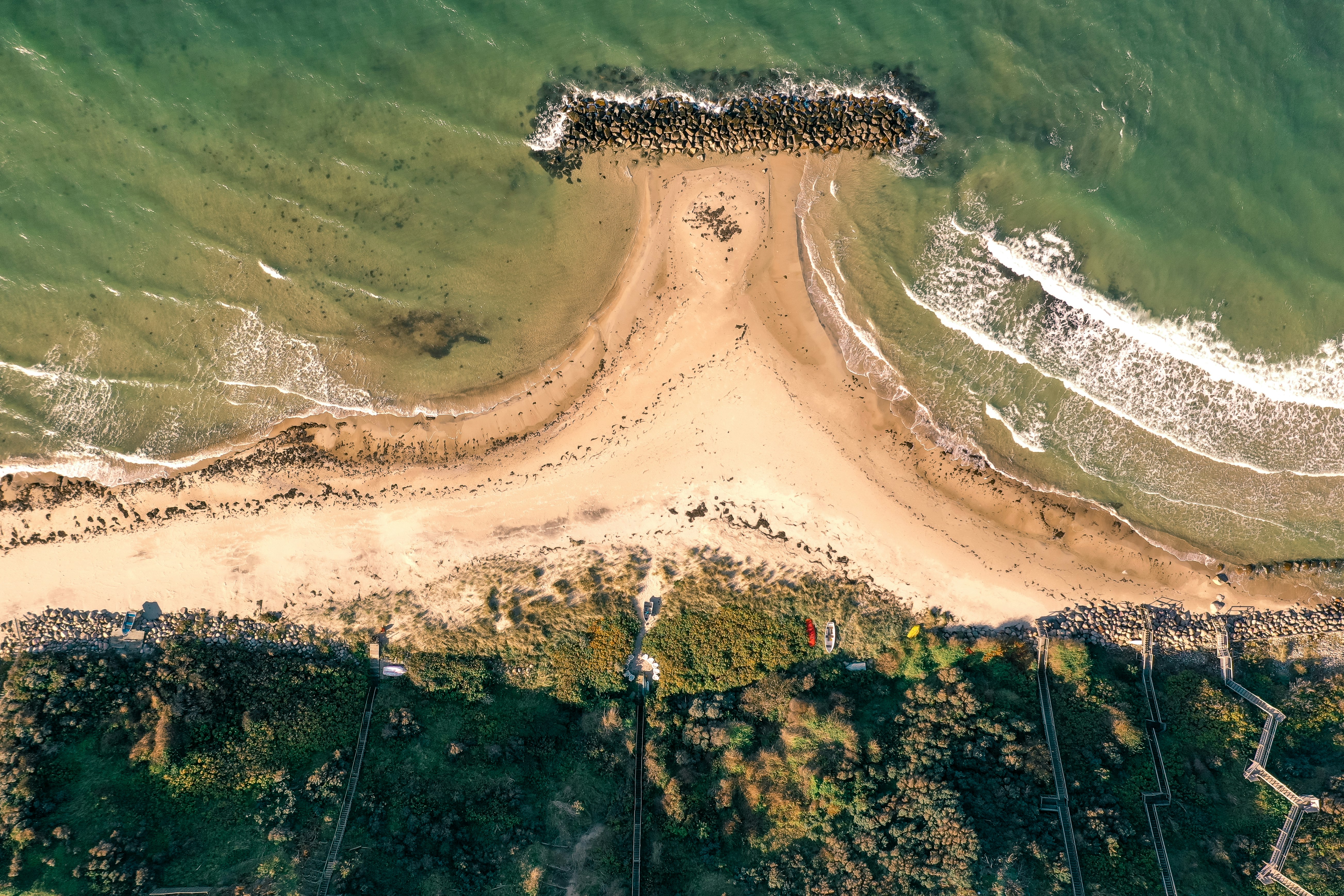 aerial view of green trees and brown sand