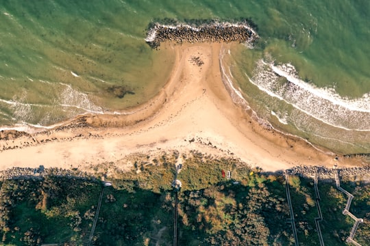 aerial view of green trees and brown sand in Hundested Denmark