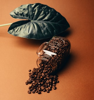 green leaf plant beside brown wooden heart shaped ornament