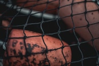 Close-up of a lost fishing net tangled among seaweed on the ocean floor.