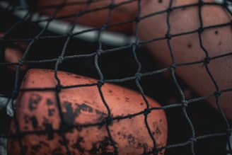 Close-up of a lost fishing net tangled among coral and seaweed underwater.