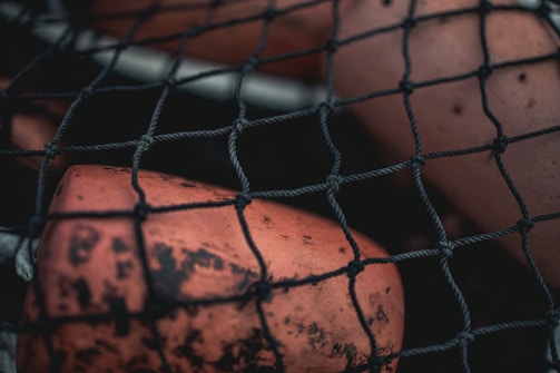Close-up of a lost fishing net tangled among coral and seaweed underwater.