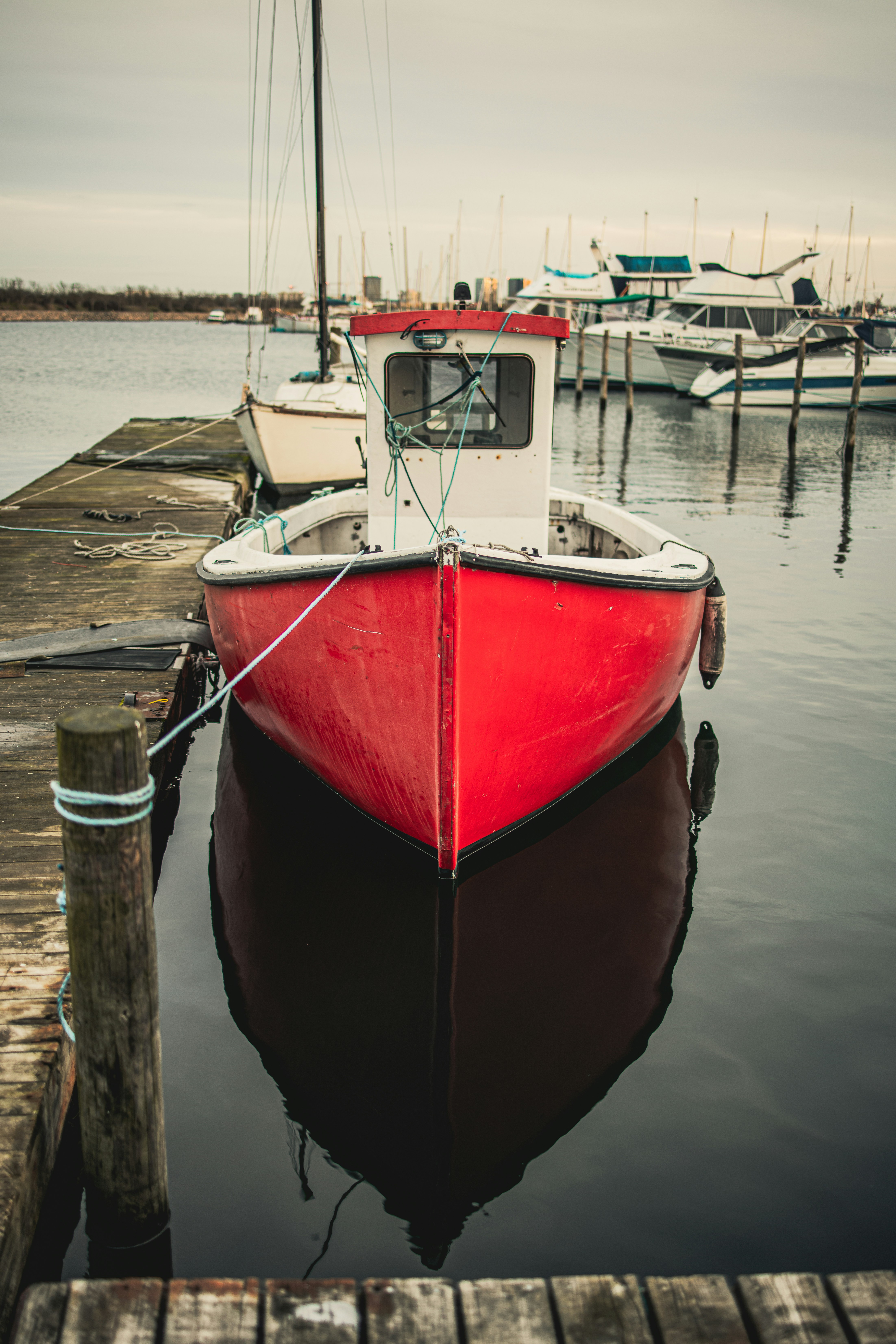 Photo by danielbarbulak