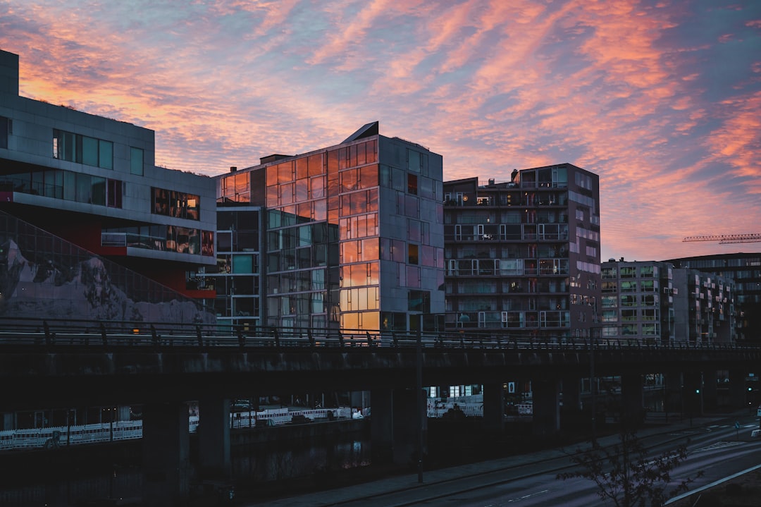 brown and black concrete building during sunset