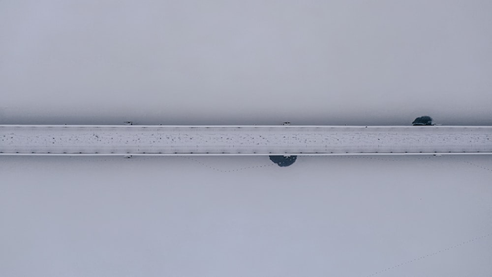 white and black ruler on white surface