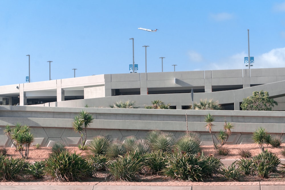 white concrete building near green palm tree under blue sky during daytime