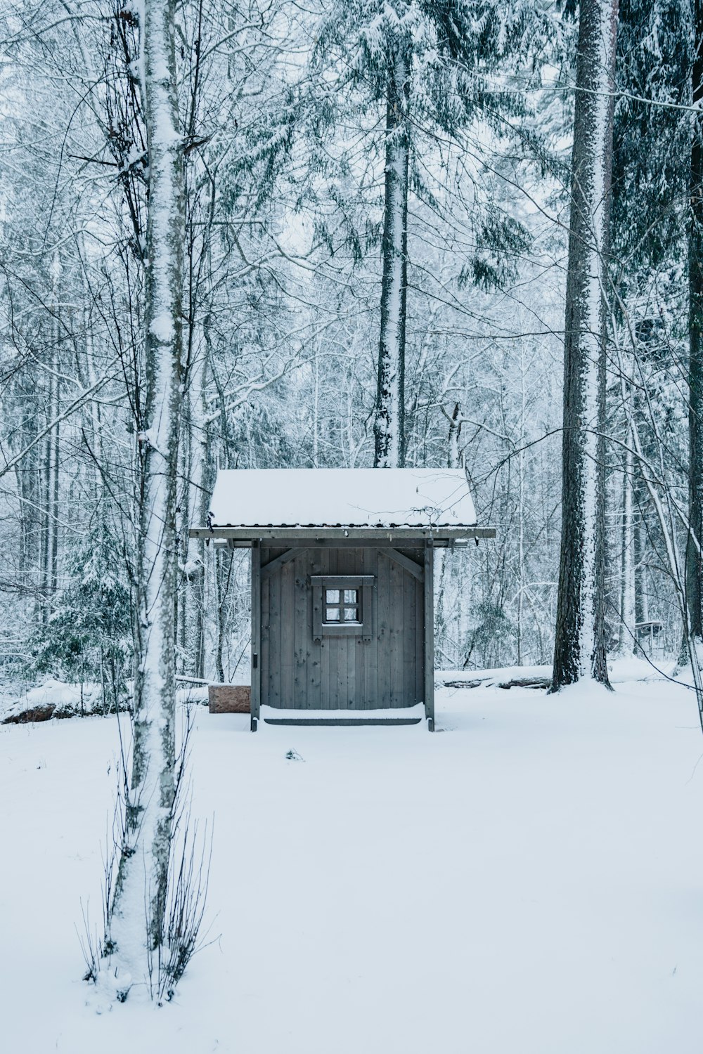 brown wooden house in the middle of snow covered ground