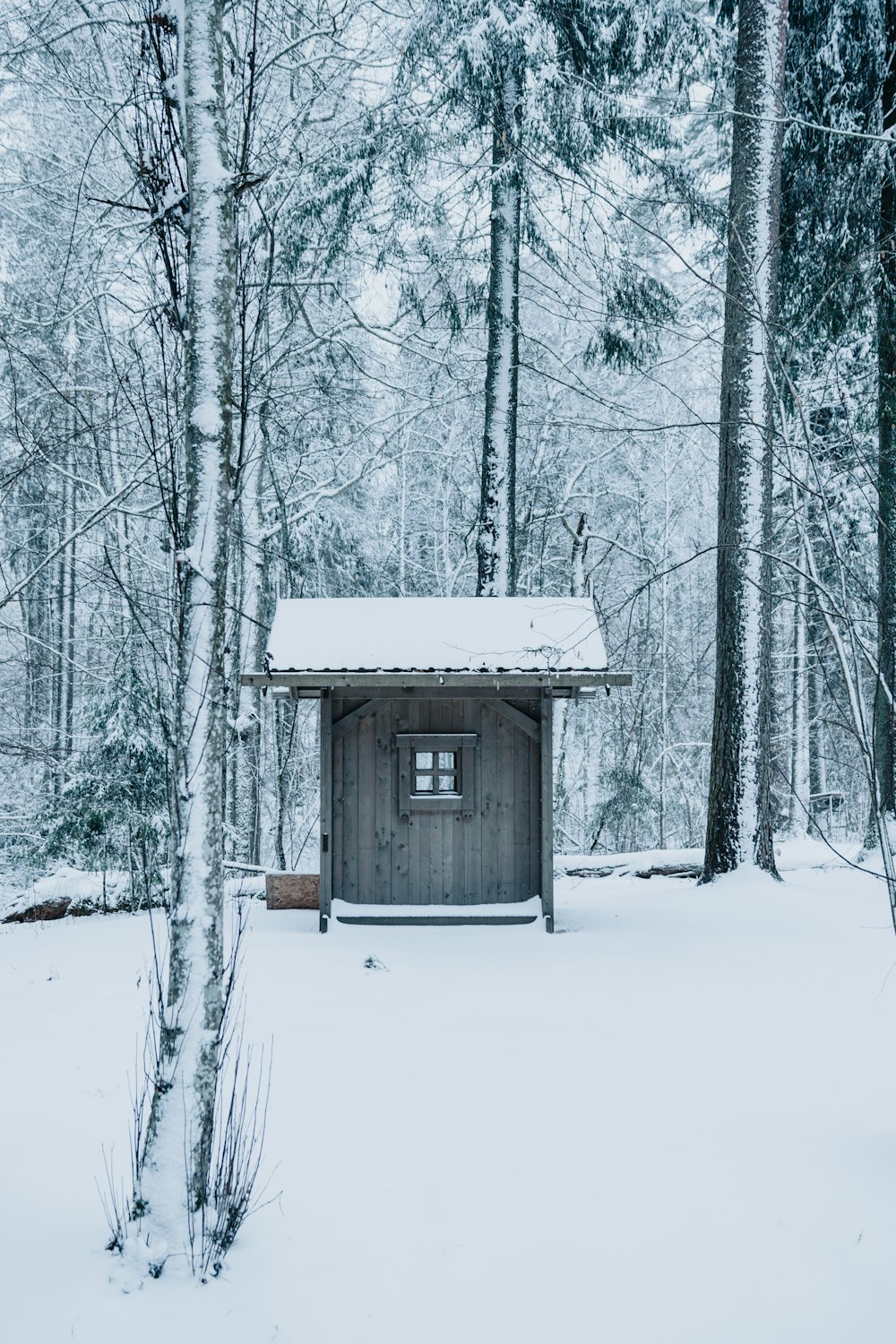 casa de madeira marrom no meio do chão coberto de neve