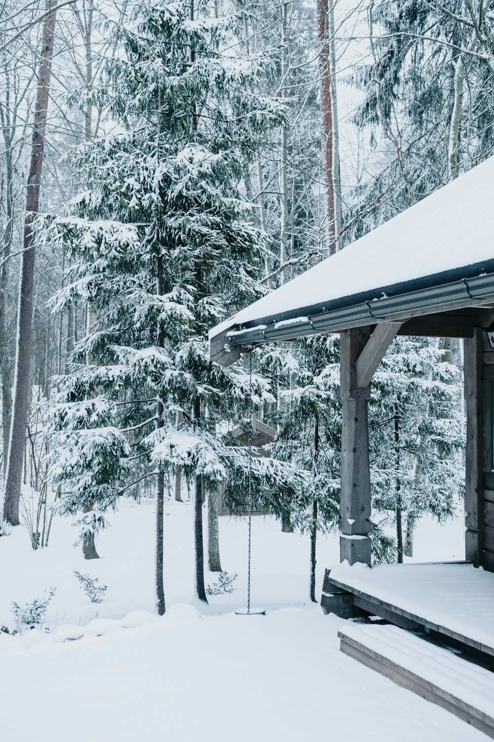 green trees covered with snow during daytime