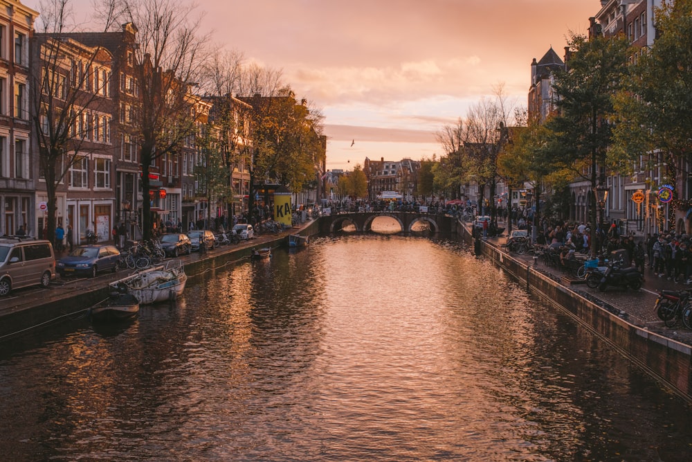 river between trees and buildings during daytime