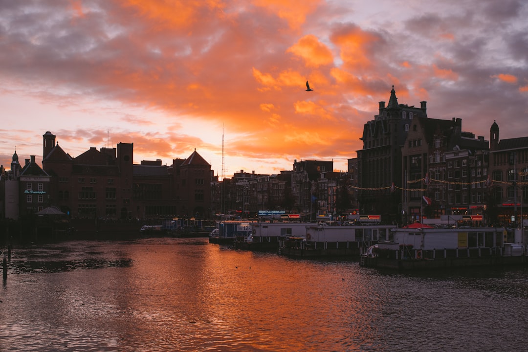 body of water near buildings during sunset