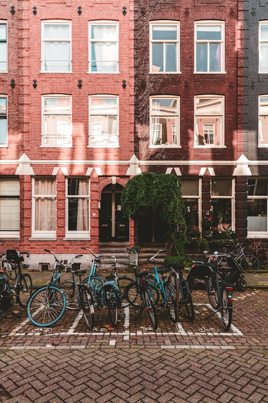 bicycles parked beside green plants in Vondelpark Netherlands