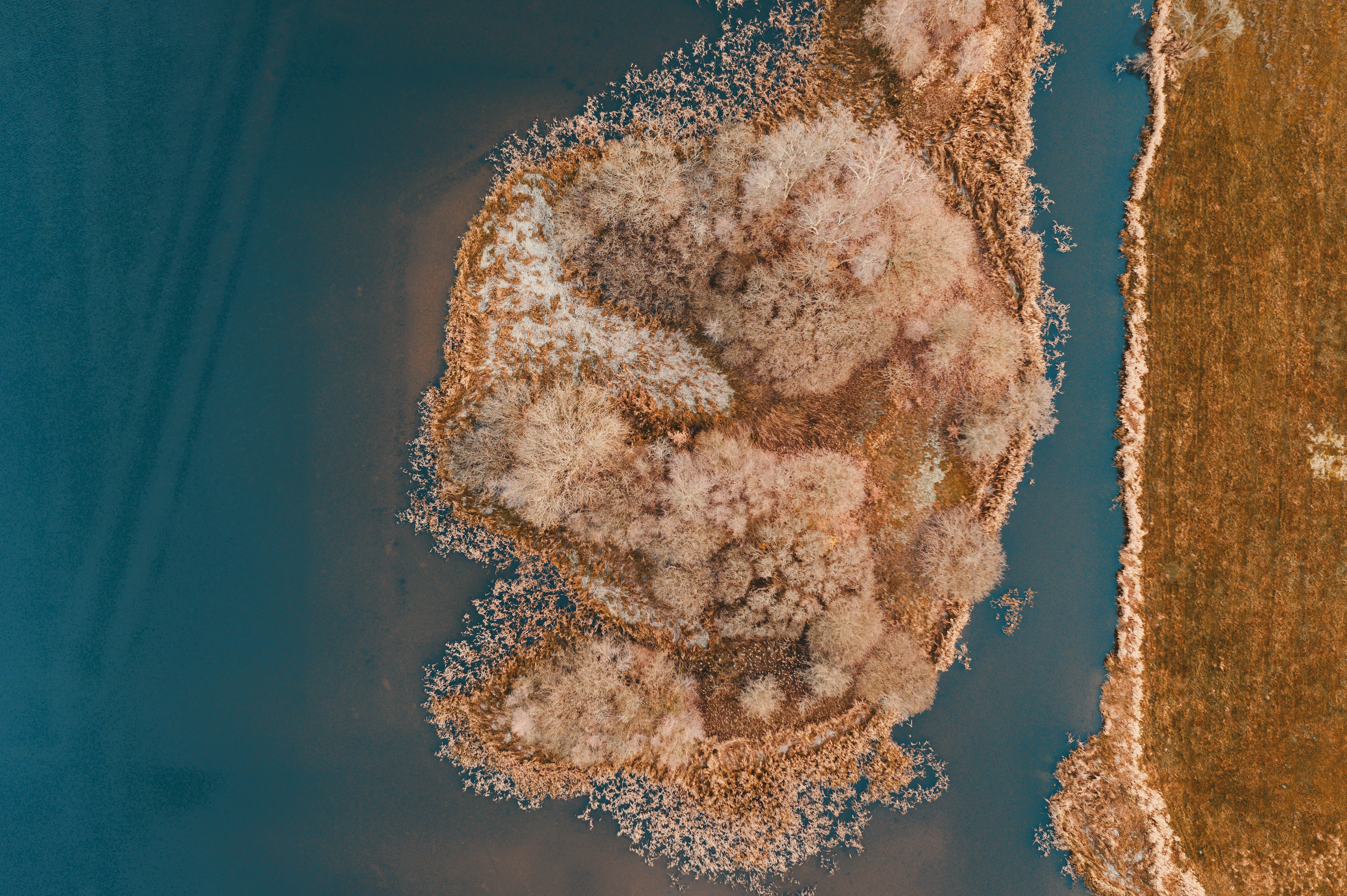 Mold Inspection and Removal
