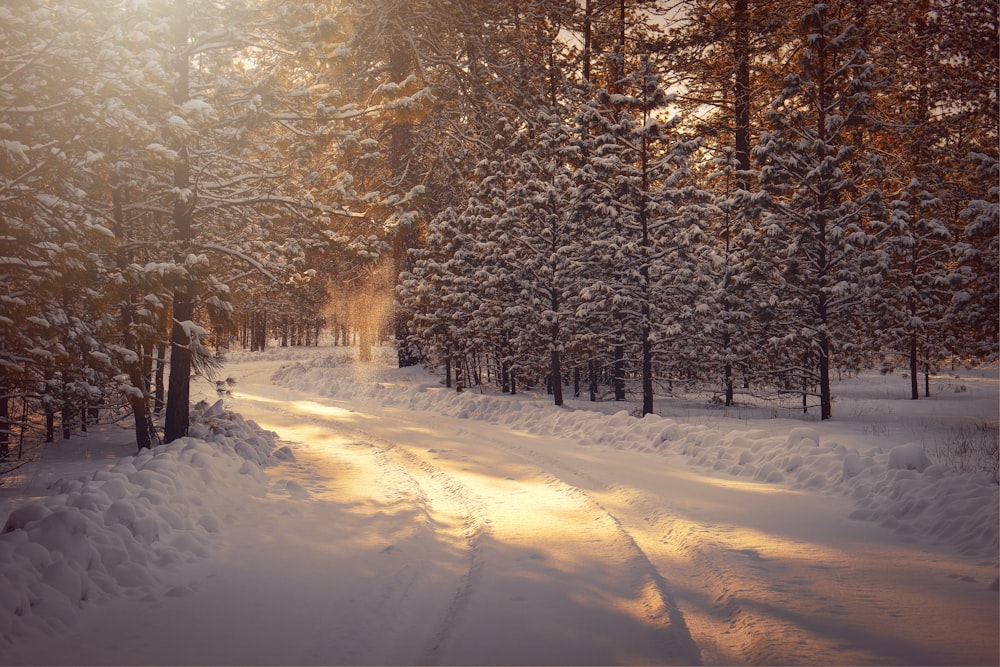 Winter Wallpapers - Top Free Winter Backgrounds - WallpaperAccess