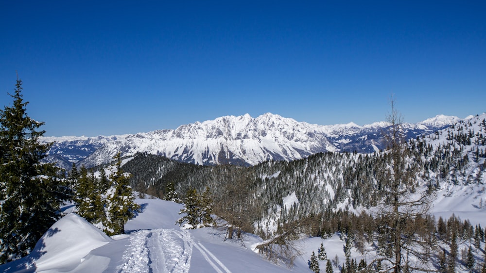 snow covered mountain under blue sky during daytime