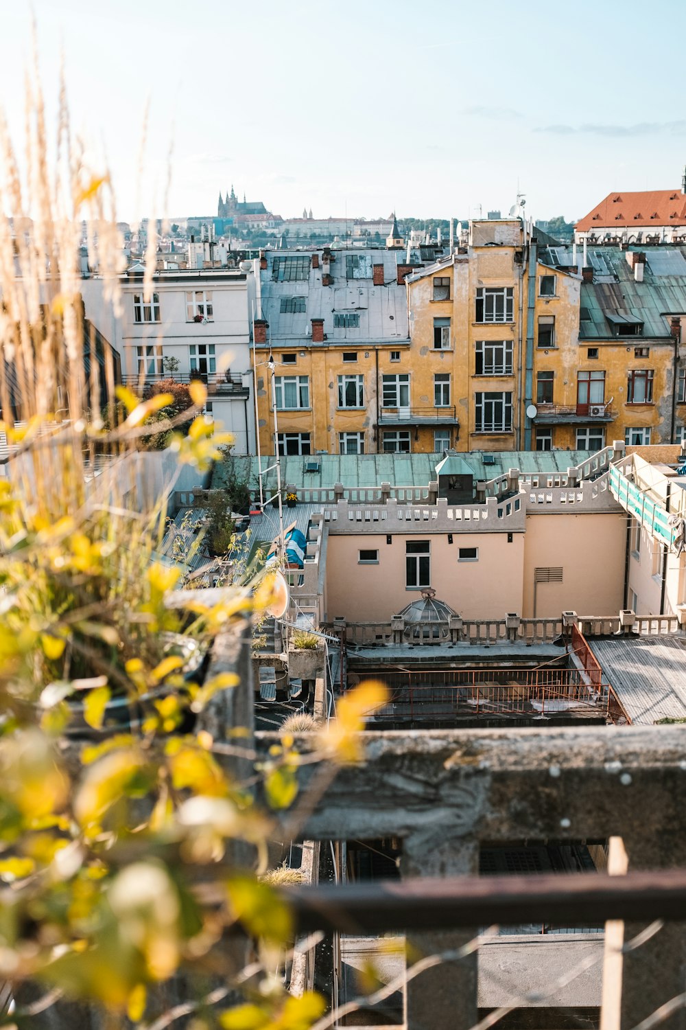 white and brown concrete buildings during daytime