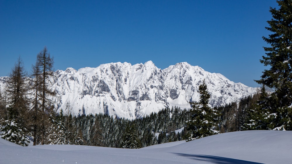 snow covered mountain during daytime