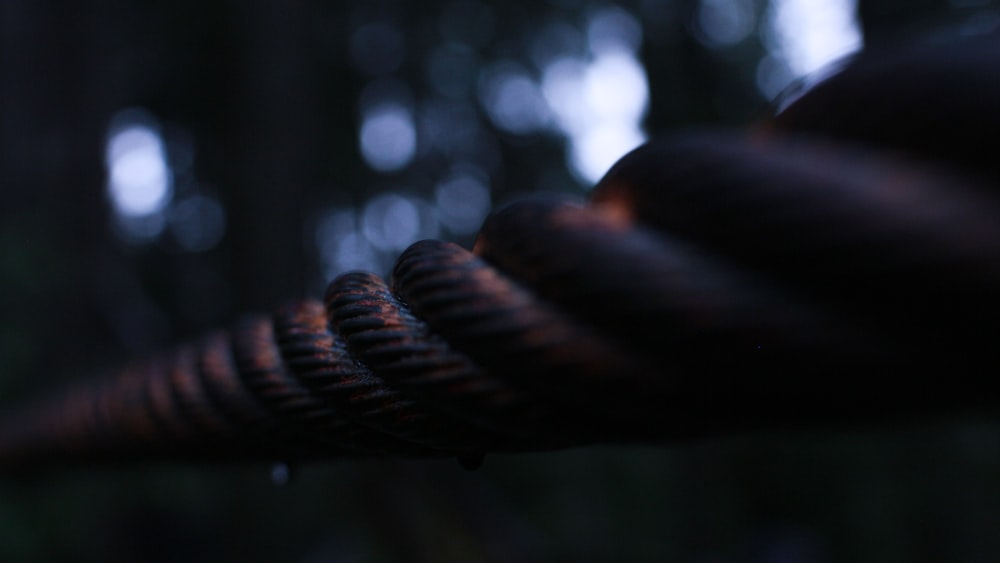 brown rope in tilt shift lens