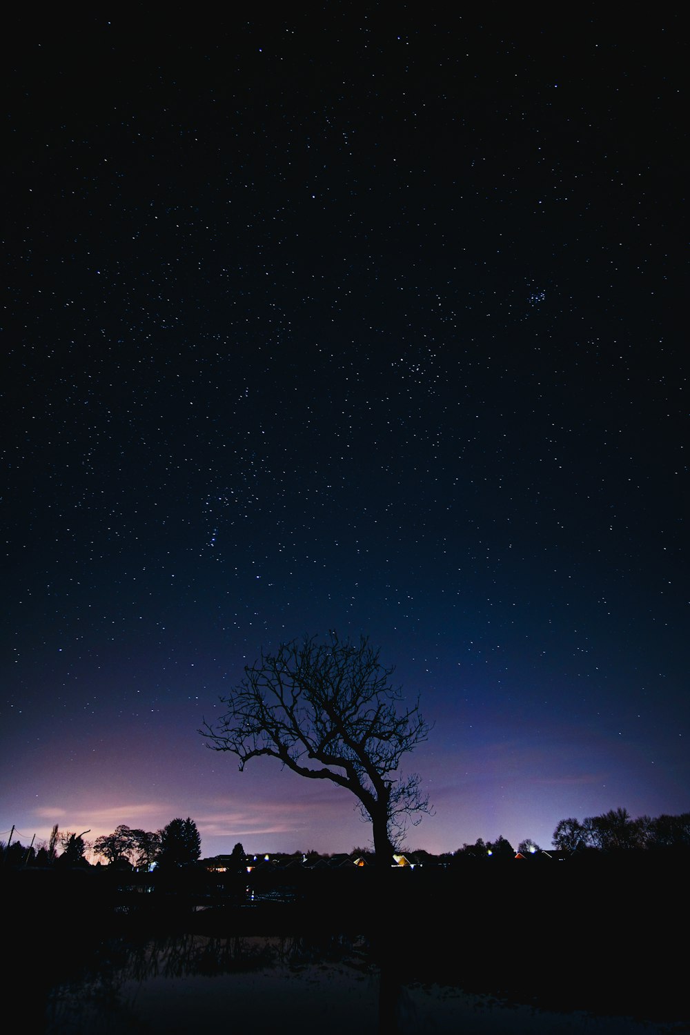 silhouette of trees under blue sky during night time