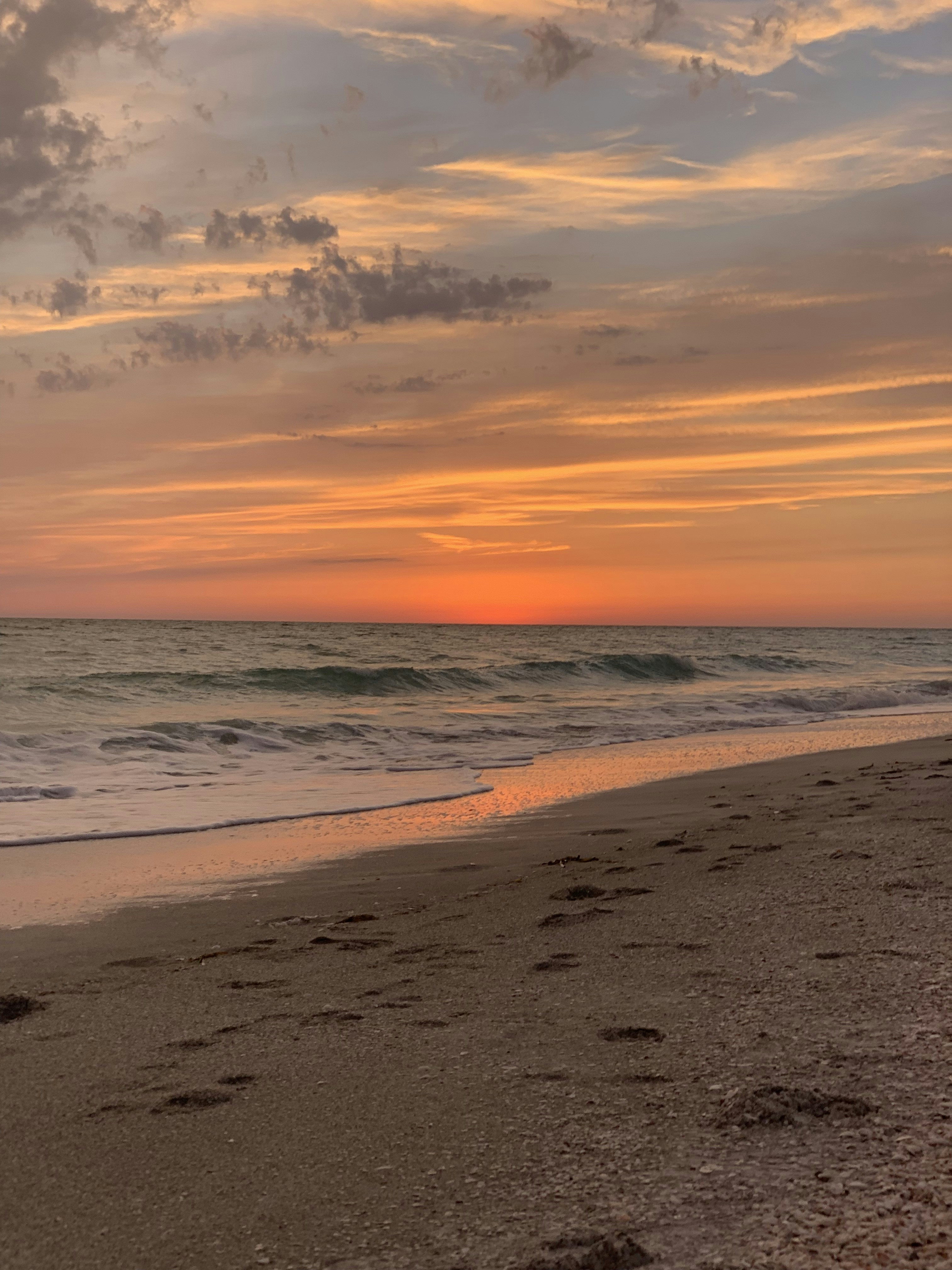 Photo by taylor_cowling_photos