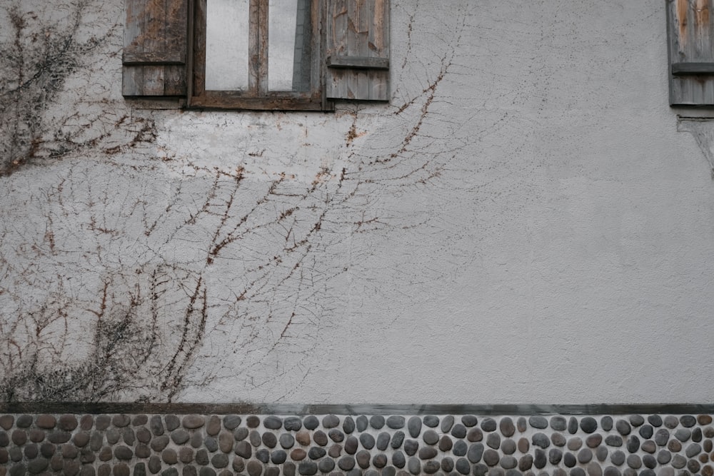 telaio della finestra in legno marrone su parete di cemento bianco