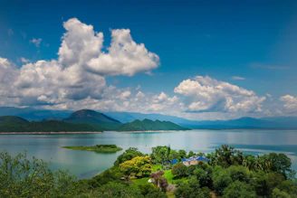 green trees near lake under blue sky and white clouds during daytime