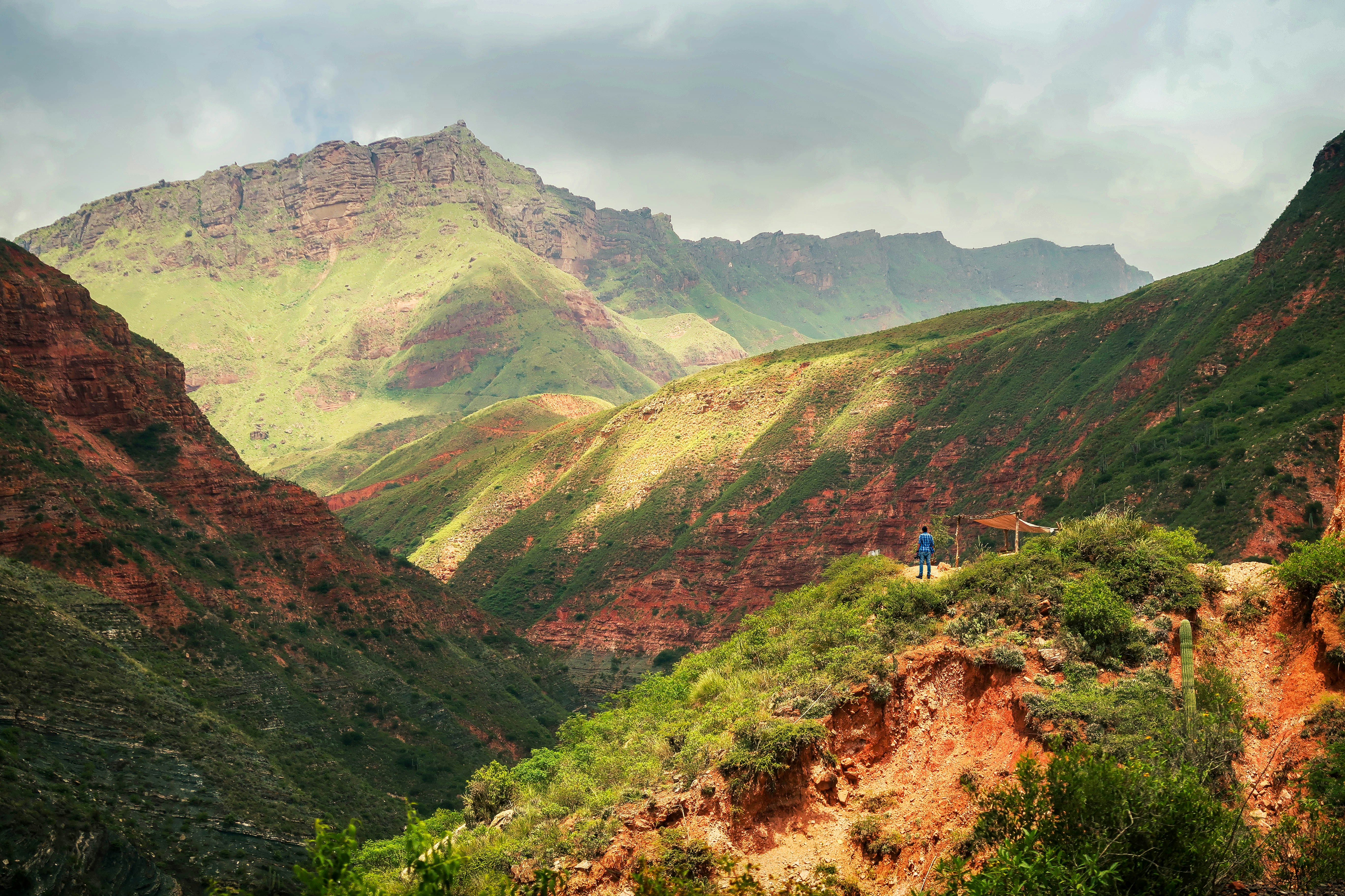 Photo by argentinanatural