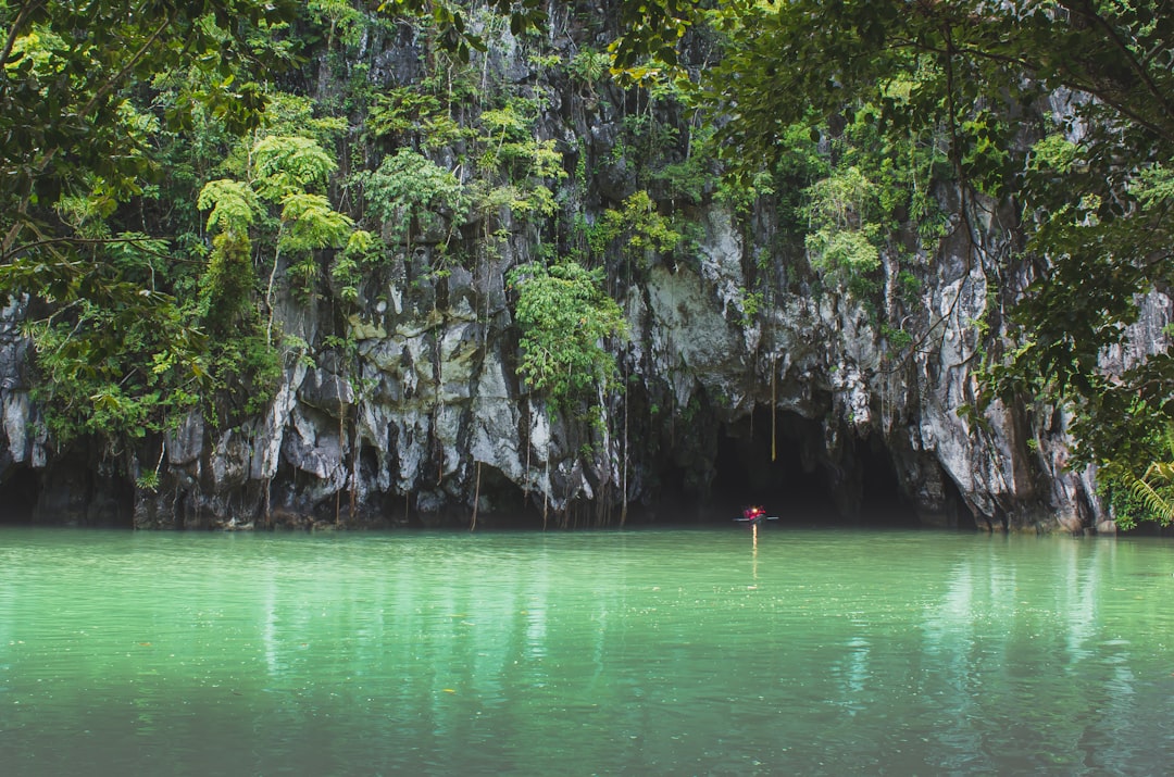 Jungle photo spot Puerto Princesa Subterranean River National Park Philippines