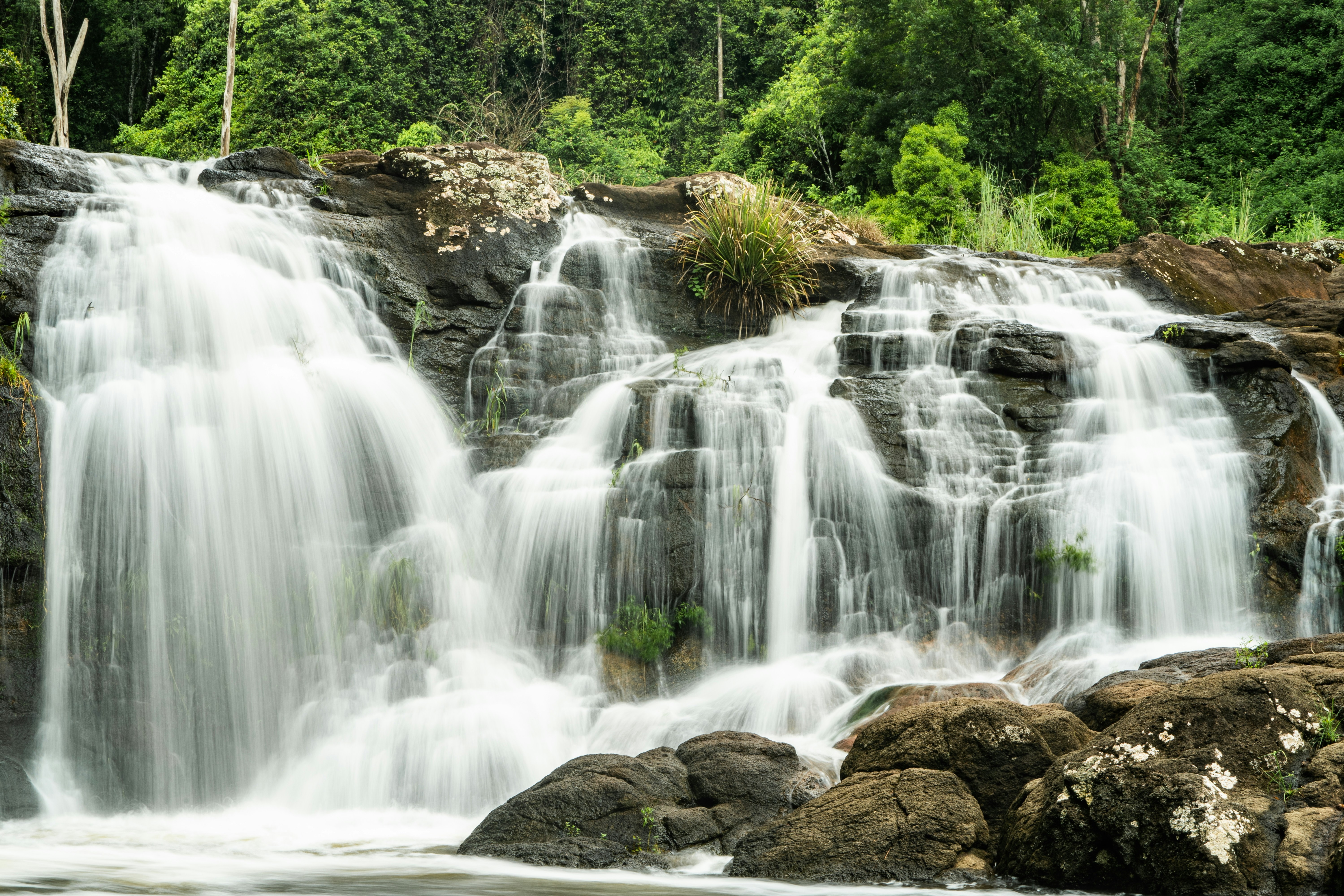 Photo by angus_buchanan