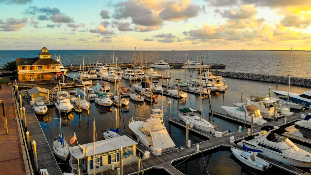 white and blue boats on sea during daytime