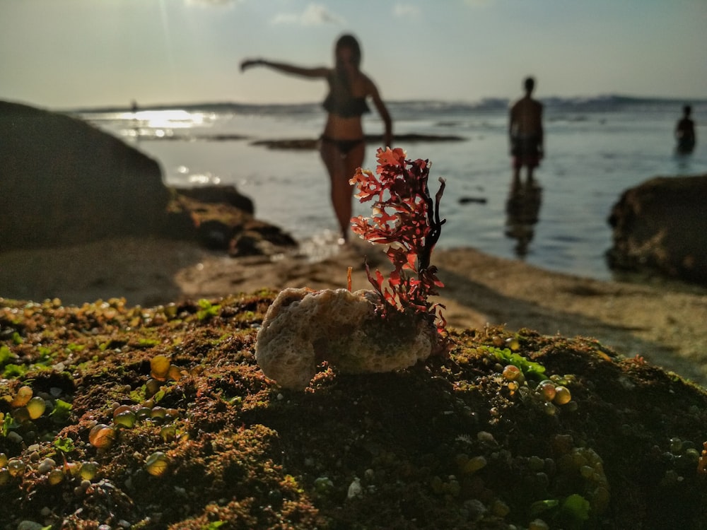 woman in red and white floral dress standing on rock near body of water during daytime