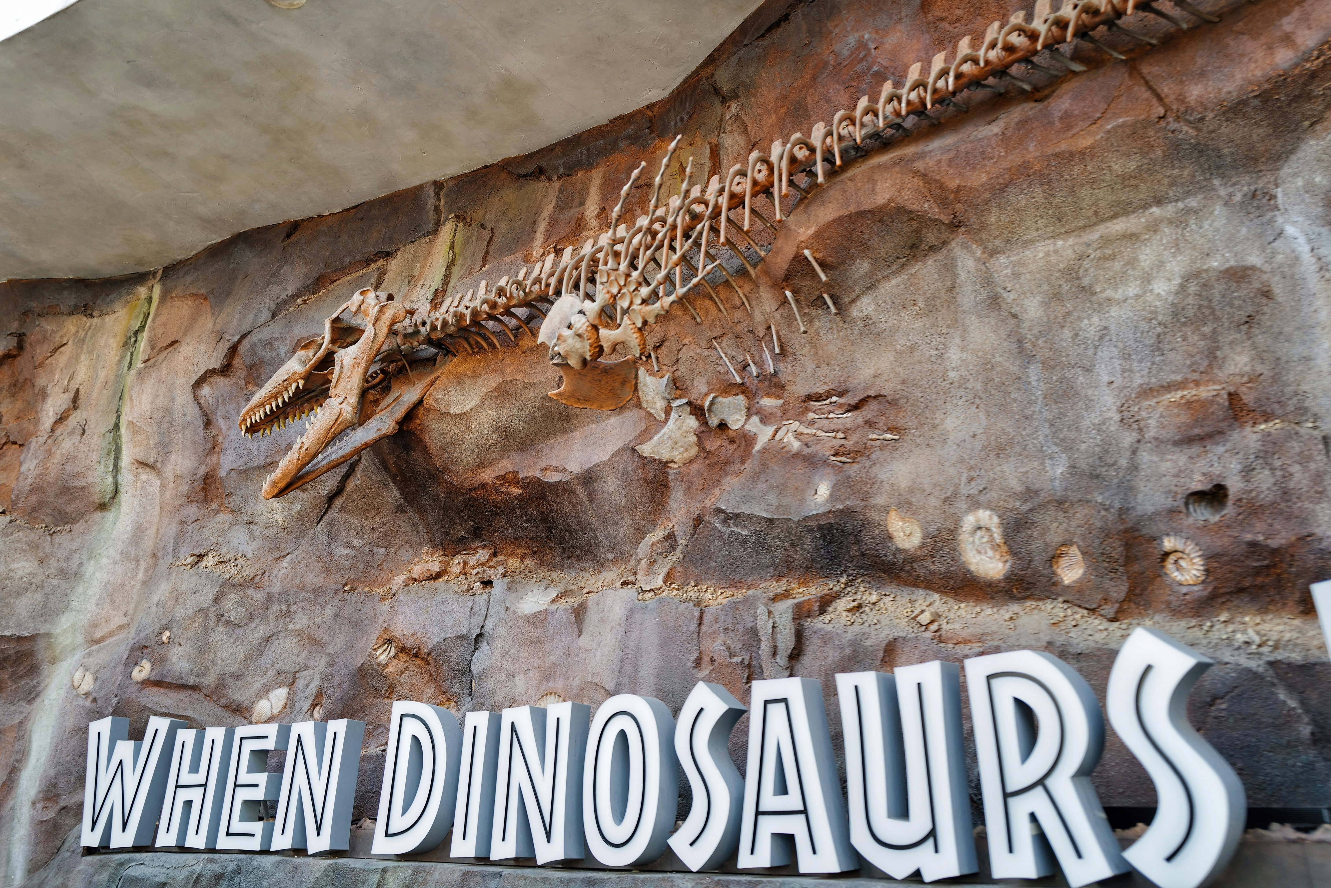 happy st patricks day