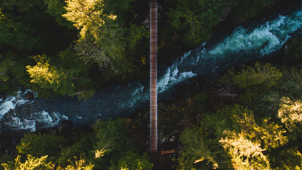 brown wooden bridge over river